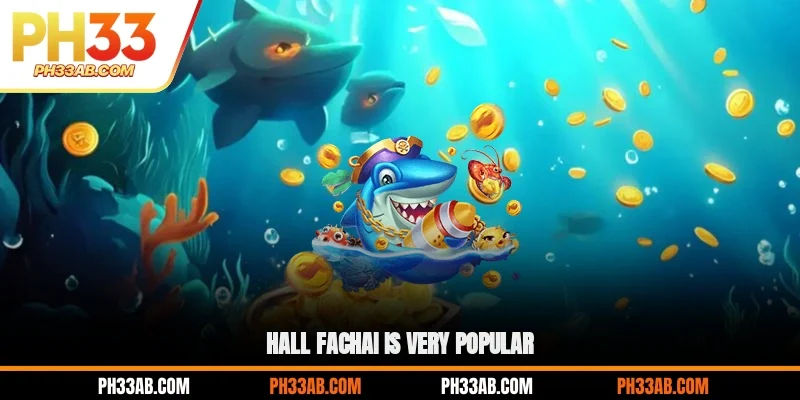 Hall FACHAI is very popular