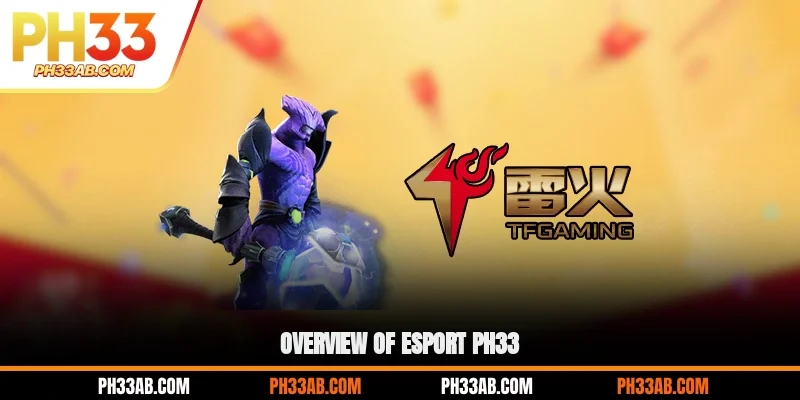 Overview of Esport PH33